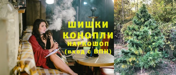 сатива Арсеньев